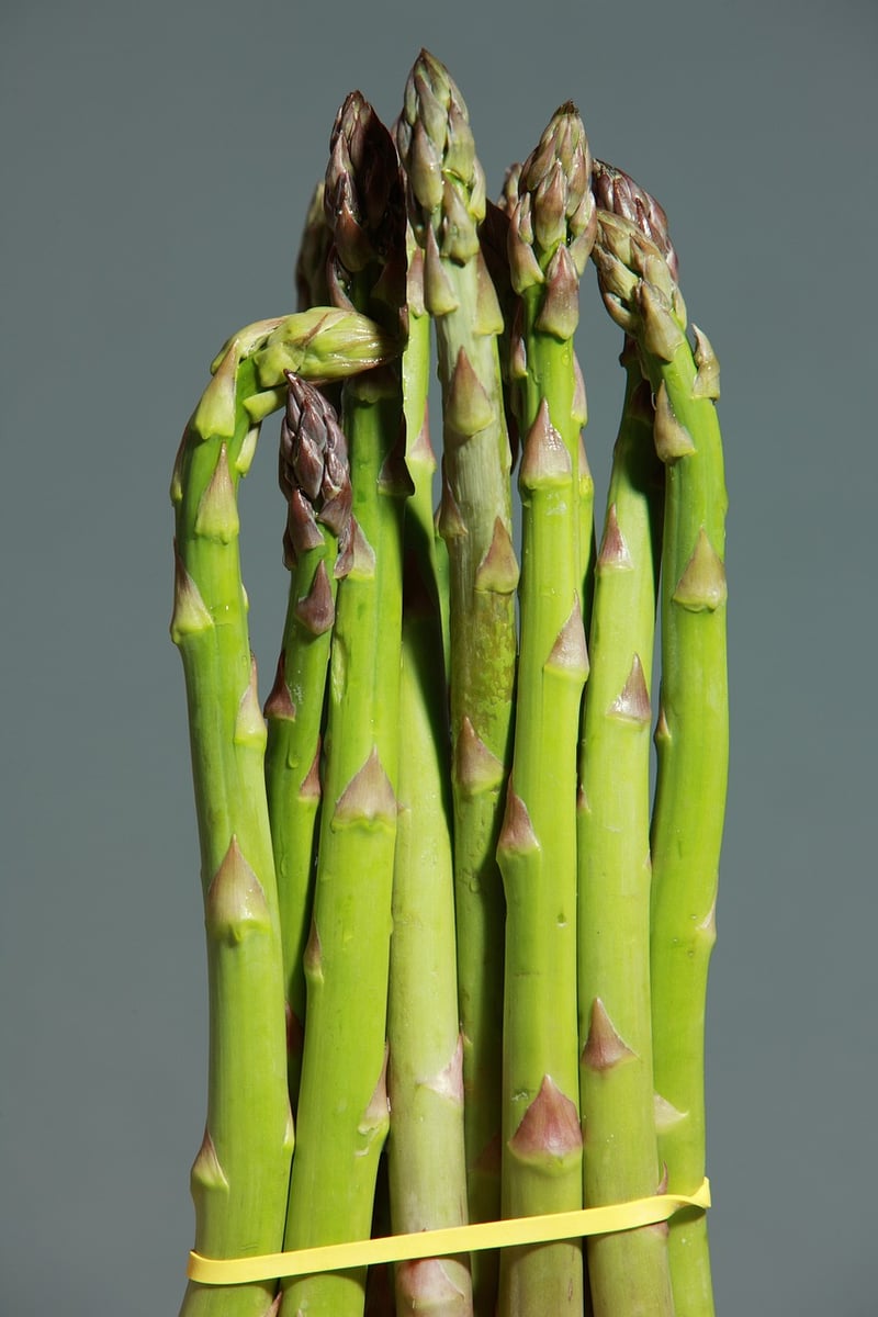 Umami Richness with Earthy Notes